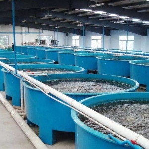 ѭ�hˮ�Bֳ���ķN���С��X��;��