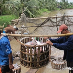 Խ�ϰ�ɳ�~ԭ���µ����Ї��M���̳ɱ��s������