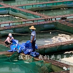 �������i����ˮ�죬��ʮ�f��W���~���⣿