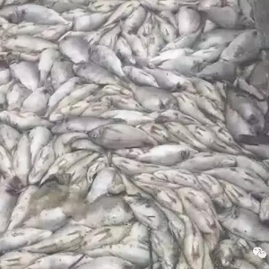 ͻ�l�K�����������򱬰l�ೱ���Bֳ����Kʧ��ǧ�f