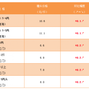 �o�[�~���S��~�������՝u�p�٣����~�y���a���Ј�