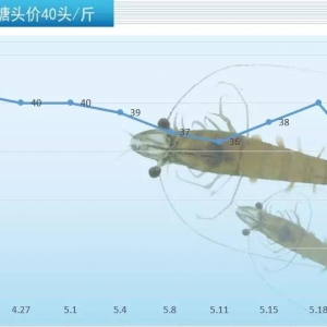 ��14Ԫ/�40�l26Ԫ/��r�r����̫��