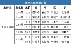 5�µ�4��ȫ����Ʒ�N���ڃr����