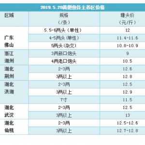 �����S��~���12.9Ԫ����ΏV�|ץ�~�r׃�ͣ�