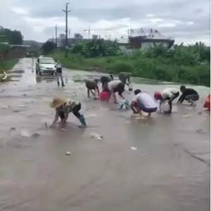 �A�ϲ��~�Εr��ȫ��ͻ��5Ԫ���P�ˣ�