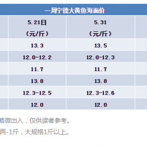 ��ߝq0.2Ԫ/�������´��S�~�����ϝq