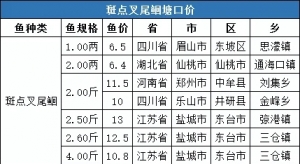 �u�~�u�r�ؿ������µ�����ȫ��(gu��)���؅^(q��)���c(di��n)��β�t���ڃr(ji��)����(b��o)