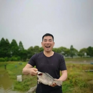 �Z�~����ѽ�(j��ng)���������B(y��ng)ֳ����߀��Ӳ������