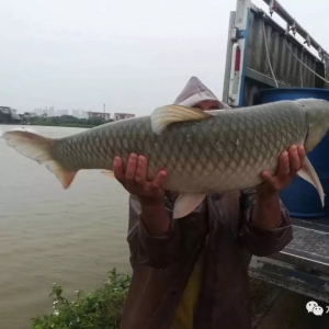 ���~�u�������r���ٴ��»��������ܷ��ϝq��