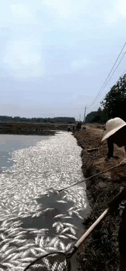 �����|�~(y��)һҹ���⣬�B(y��ng)��(h��)���ޟo(w��)�I...