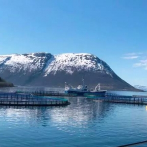 ��ೱӰ푣�Ų���ܞ������~��Ӌ���^1.3�f��