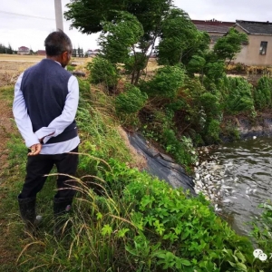 ������£������ɞ鉺���B�������һ�����ݣ�