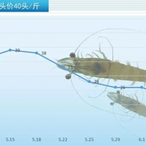 �����r�r���@�j�ݣ��Εr�ܝq��