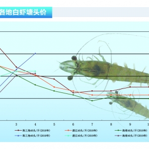 ��(du��)�r:���r���У�5��(du��)�r������ԡ�����ˮ�a(ch��n)ǰ�ء�2019��6�¿��Ј�(ch��ng)څ��(sh��)