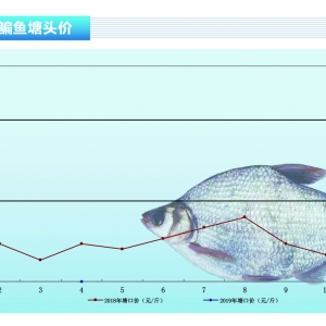 ���~��������K����������������ˮ�aǰ�ء�2019��6�¿��Ј�څ��