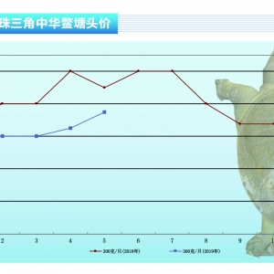 ���~�����¼��~�r(ji��)��һ·�߸����M(j��n)������ˮ�a(ch��n)ǰ�ء�2019��6�¿��Ј�څ��