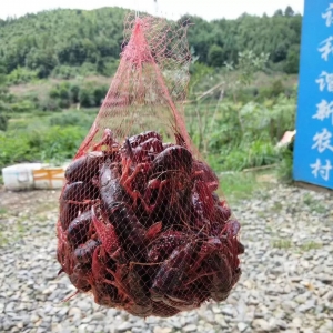 �Ј�����ȱС���r�r���������㣬�����������D��