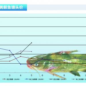 �S��~�����~�в�������Ҏ(gu��)�񣬴�Ҏ(gu��)�����鿴�q������ˮ�a(ch��n)ǰ�ء�2019��6�¿��Ј�څ��