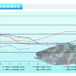 ʯ���~�����Եĳ��~�Ј������Bֳ��ϧ�ۡ�����ˮ�aǰ�ء�2019��6�¿��Ј�څ��