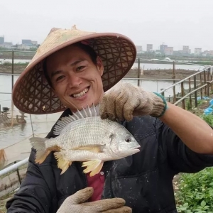 �S�����B(y��ng)ֳ��������