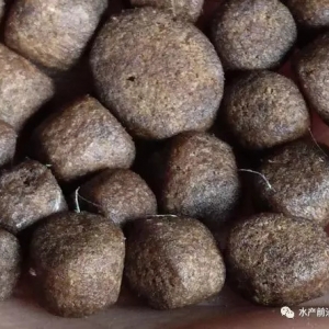 �~�ۡ����ɡ����ɡ����ɱ�������