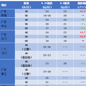 ���܇��������׌��r�r�����w���F�����Нq