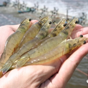 2019�׌��Ї����r�Ј��l(f��)չ�߷�Փ��