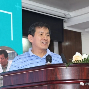 �����l������������������߀��һ�꣬�Bֳ����������̤���������ﰲȫ����