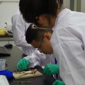 ����ʡ�׌ô�W(xu��)������W(xu��)��(sh��)�(y��n)���ܸ�(j��ng)ِ���A���r(n��ng)�I(y��)��W(xu��)�e��