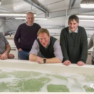 �P�c������͹��S���Bֳ�S��ģʽ