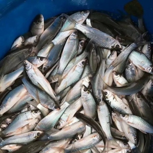 ���п��q��7�V�|�Z�~������45Ԫ/��