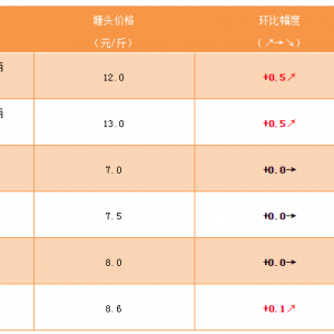 �o�[�~���S��~�r�����^֮ǰ��0.5Ԫ/����ϝq����