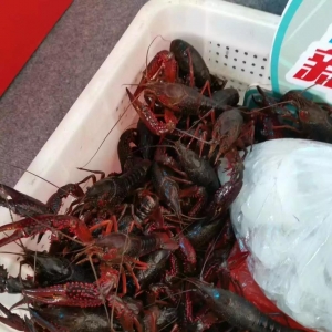 ���u�ˣ�С���r����ȫ�汩�����Bֳ����ʾ���Ż\�ˣ�