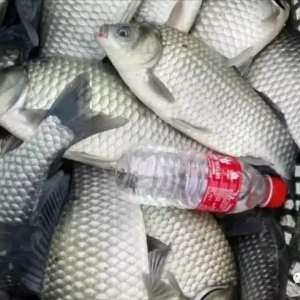 �a�~���鱩�q���@�l�~�K�ڿ���ϣ����