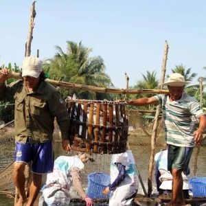 Խ�ϰ�ɳ�~ԭ�σr��(chu��ng)�vʷ�µ�