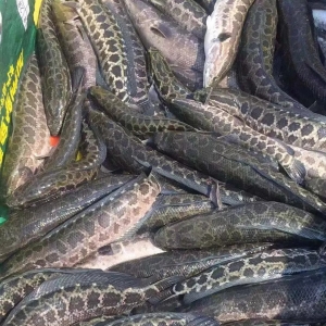 �����µ���7��1��ȫ���������~����r