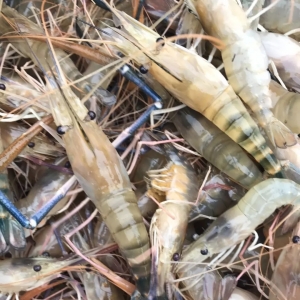 ȫ�����������r�����ڼ����r��ΕrҊ�q��