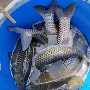 ���~���~��u���У��r(ji��)���ٴ��»�