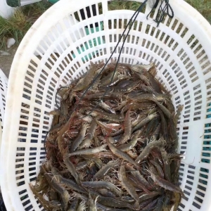 ��ߝq4Ԫ/��ݖ|����|���}�ǡ�ʒɽ���Ϻ��������r�r�K�ڝq�ˣ�