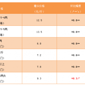 �S��~�r��׃�����������п���