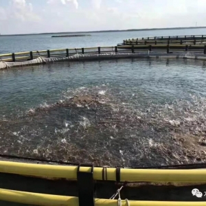 ���K�~�a�^�r���22Ԫ/�����Ј��r���j��25Ԫ/��