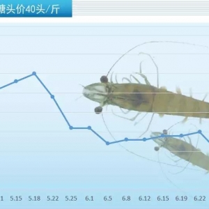 �q2Ԫ/���|�r�ŗ�^�������r��Ҳ�_ʼ�q�ˣ�