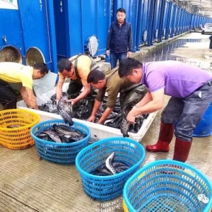 ������һ�N���B�~��ʽ�����~�r�����ˣ�