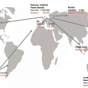 �P�cȫ�������~ʮ���B(y��ng)ֳ�����a��