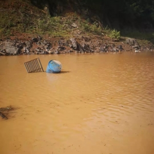 Ѫ���o(w��)�w��һ�ٶ��f(w��n)����~(y��)����ˮ�_��