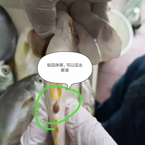 ȱ�~��ȱ�~���������~æ�������K�~�����܈�(b��o)