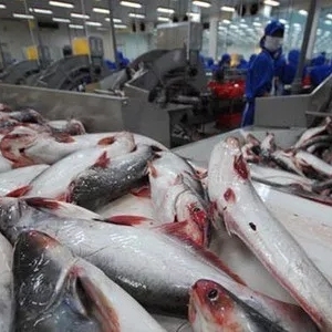 ��ɳ�~�r��ص�����ǰ�����ο͑���Ȼ����