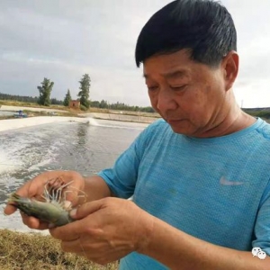 ����εķ������@ȡ96���r���ĳɹ�