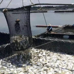 �V�|��ˮ�W(w��ng)���B(y��ng)ֳ����ʹ�ý�q4.5����