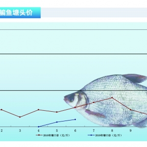 ���~�������o�ȣ��r���µ�������ˮ�aǰ�ء�2019��7�¿��Ј�څ��